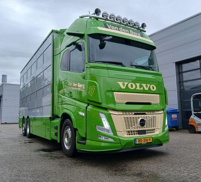 Van den Berg Veetransport