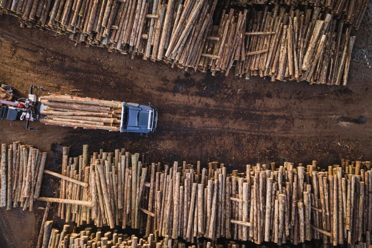 bluekens-volvo-fh16-in-actie-bomenkap