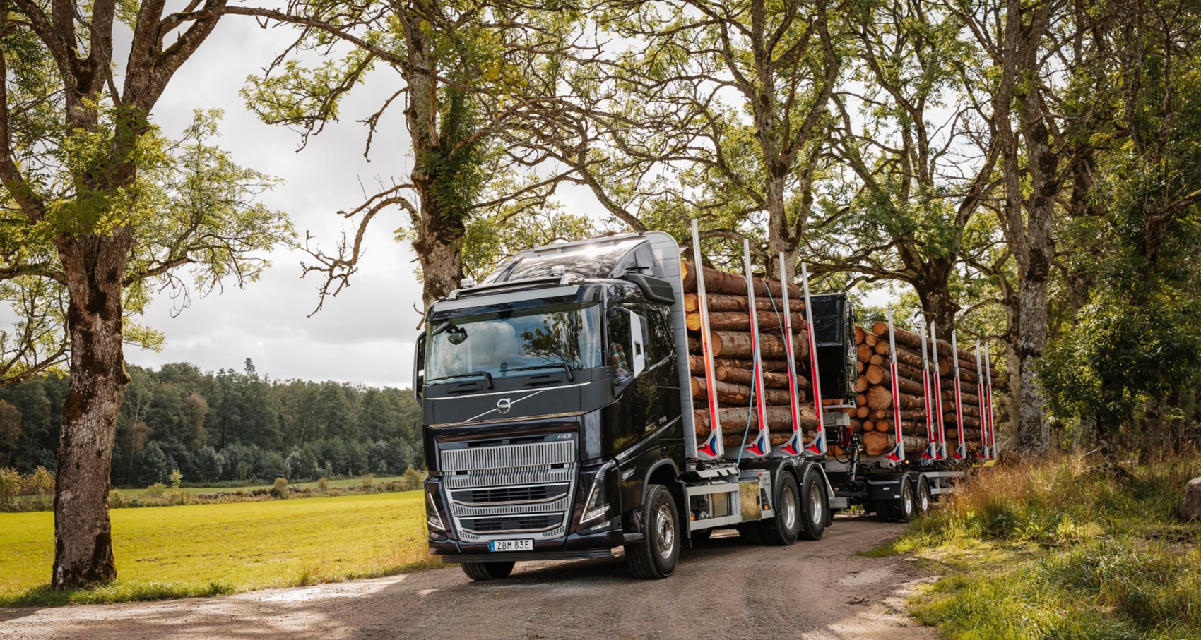 bluekens-volvo-fh16-bomen-transport bluekens-volvo-fh16-bomen-transport