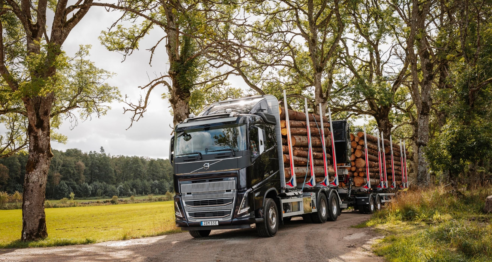 bluekens-volvo-fh16-bomen-transport