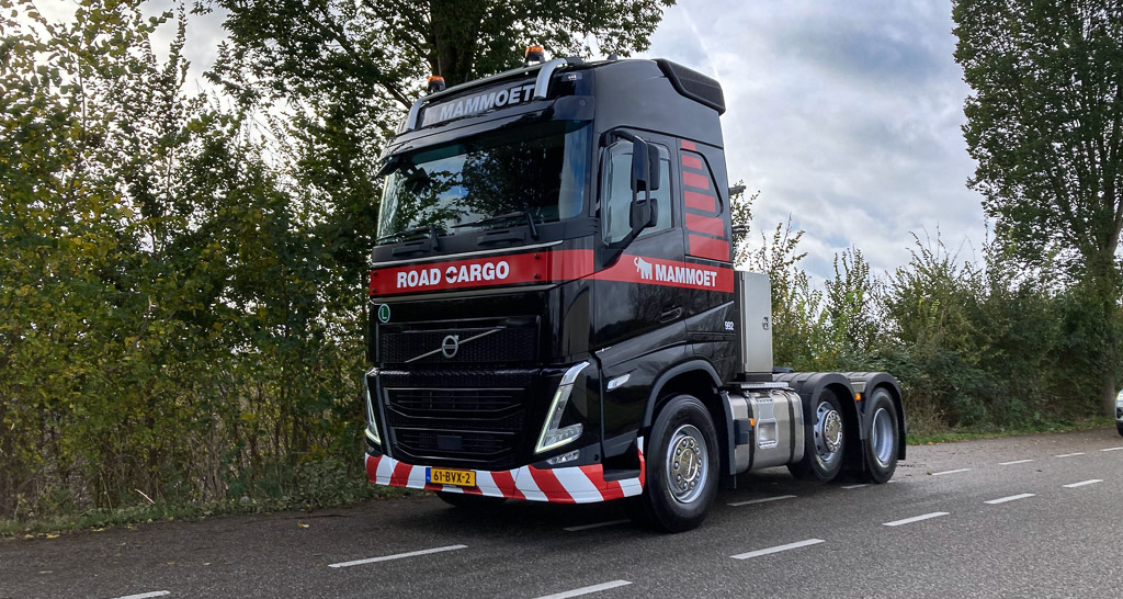 Foto 10-11-2023 10 55 43 Foto 10-11-2023 10 55 43